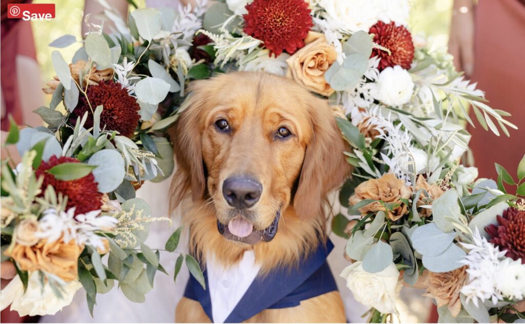 Greenville SC wedding venue